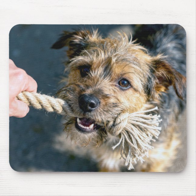 Terrierhund som spelar dragkamp musmatta (Framsidan)
