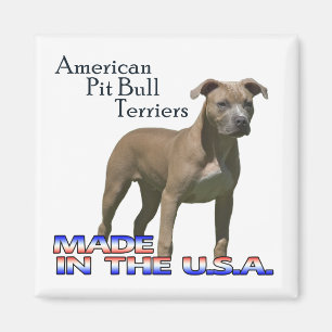 Terriers för amerikangroptjur: Kvadrera magneten Magnet