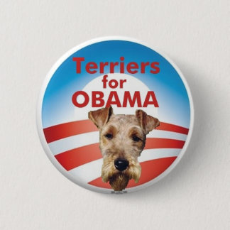 Terriers för Obama Knapp