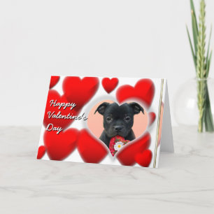 Terrikortet för lycklig Valentine Stbudsdshire Bul Helgkort
