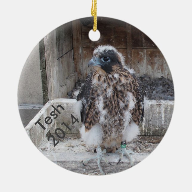 Tesh prydnad 2014 julgransprydnad keramik (Baksidan)