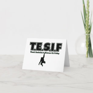 TESIF TACK KORT