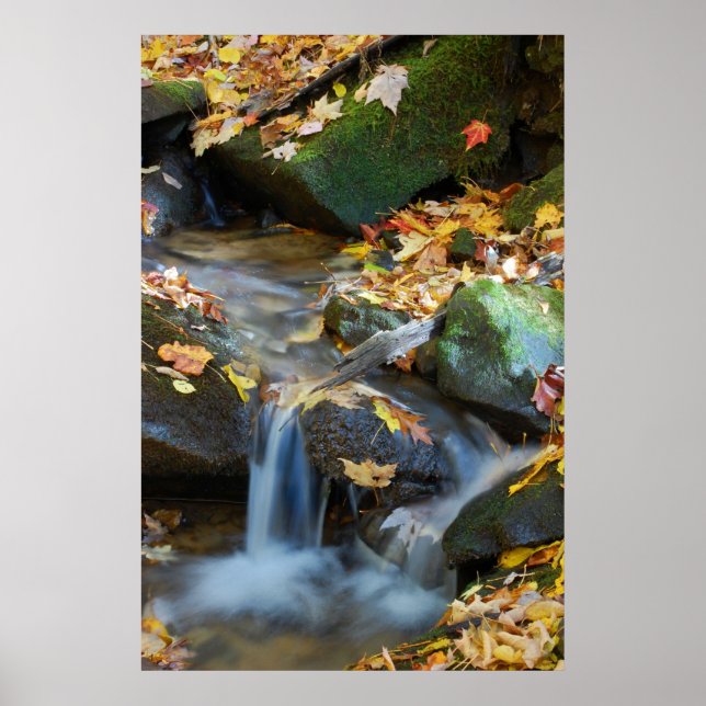 Teskawata Falls Poster (Framsidan)