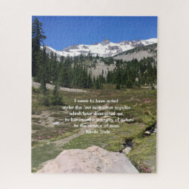 Tesla citationsteckenpussel 520 lappar pussel