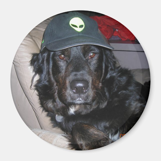 TESLA DEN ALIEN HUND MAGNET (Framsidan)