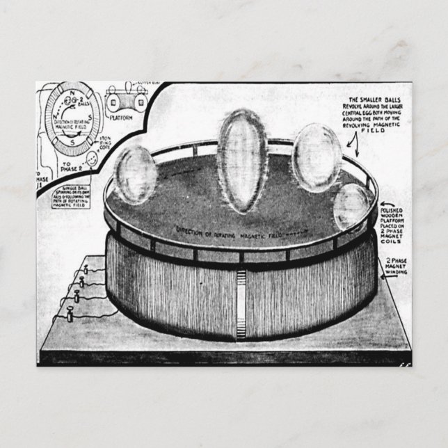 Teslas ägg på Columbia Exposition Postcard Vykort (Framsida)