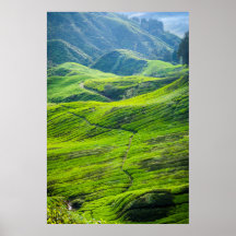 Tesplanteringar i väg