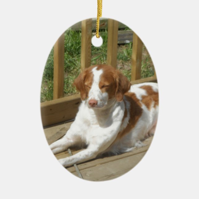 Tessa min lite valp julgransprydnad keramik (Framsidan)