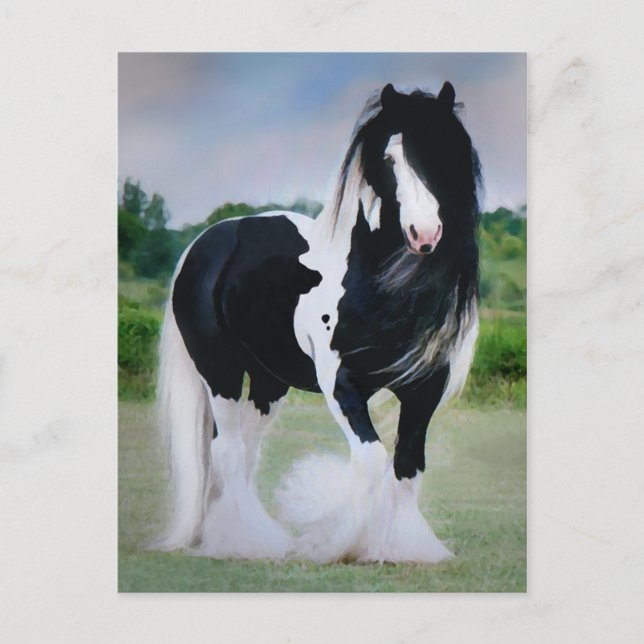 "Tessa" vykort (Framsida)