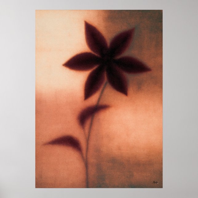 Tessen Clematis Japansk blomsterabstraktion Poster (Framsidan)