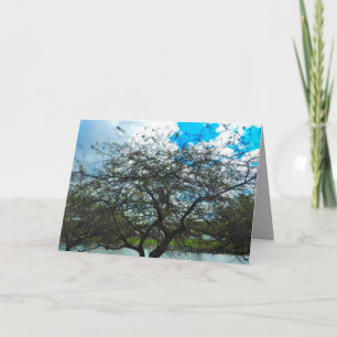 TESTA AV det TIME kortet Kort