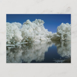 Testa betalkort vykort