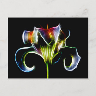 Testa betalkort vykort