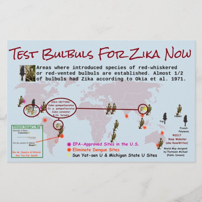 Testa Bulbuls för Zika 2-sidig folder av RoseWrite Flygblad (Framsidan)