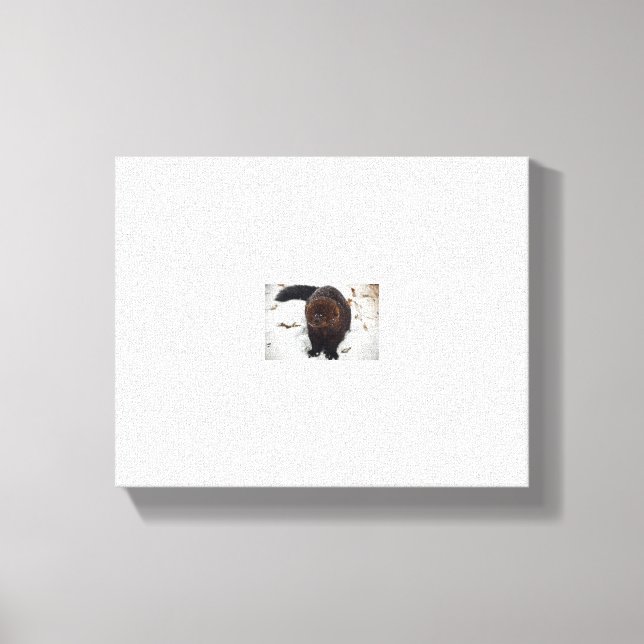 testa canvastryck (Framsida)