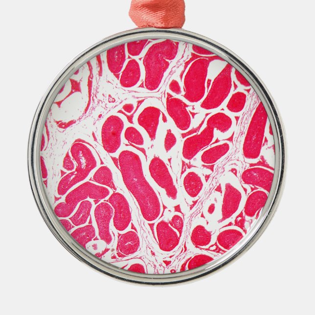 Testikelceller under mikroskopet julgransprydnad metall (Framsidan)