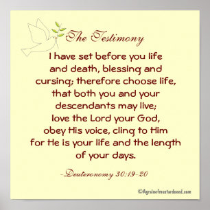 Testimony Life and Death bible Citote Prayer Poster
