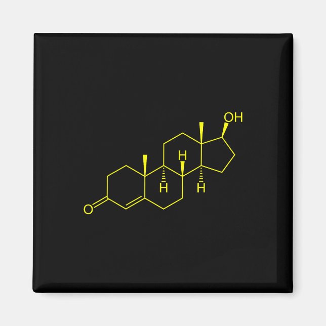 Testosterone Molecule Biology Science Bodybuilding Magnet (Framsidan)