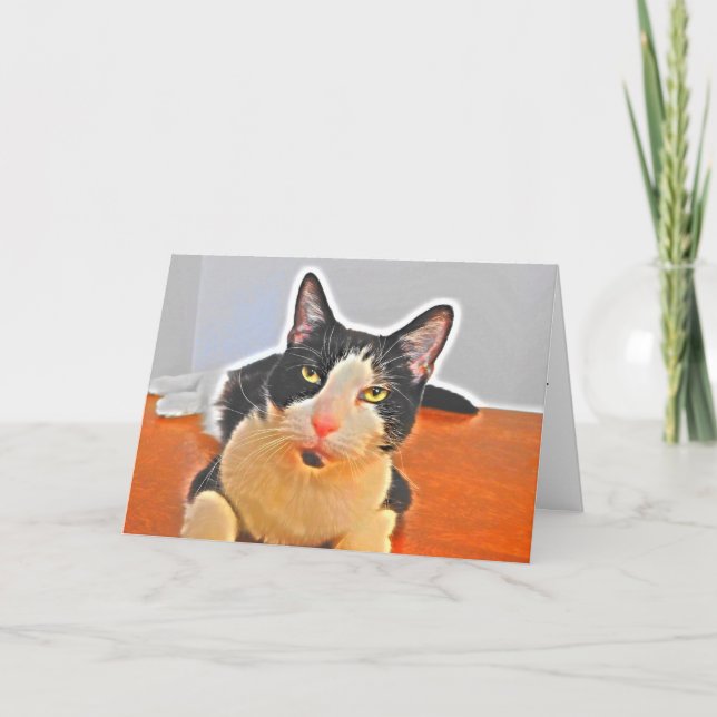 Testy Tuxedo Cat Birthday Card Kort (Framsida)