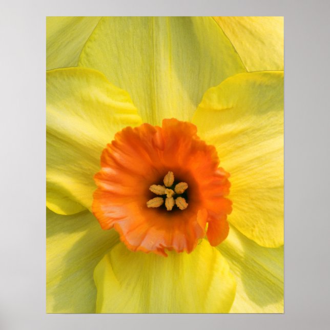 Tête à tête poster (Framsidan)