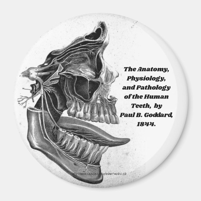 "Teth" Magnet (Framsidan)