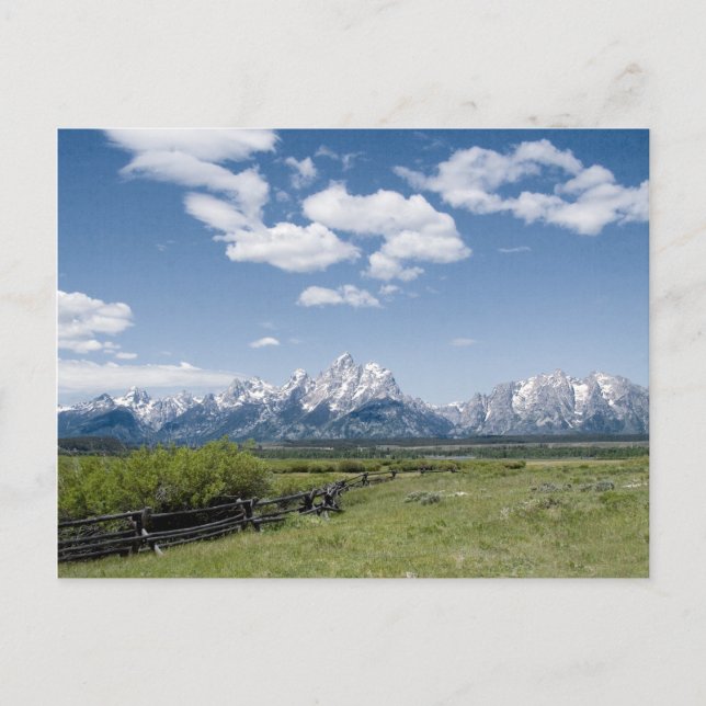 Teton Fence-vykort Vykort (Framsida)