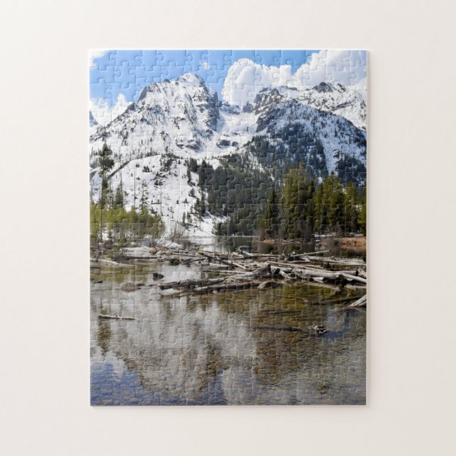 Teton Mountain Stream-reflektioner - 11 x 14 - 252 Pussel (Vertikal)
