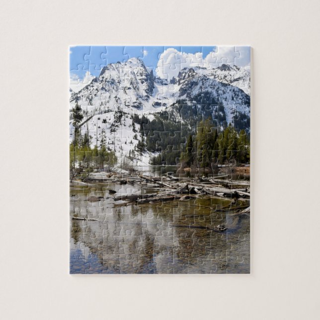 Teton Mountain Stream-reflektioner - 8 x 10 - 110  Pussel (Vertikal)
