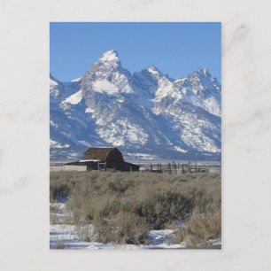 Teton Ranch-vykort Vykort