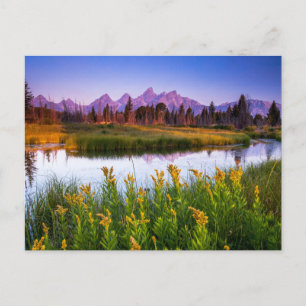 Teton Sunrise Vykort