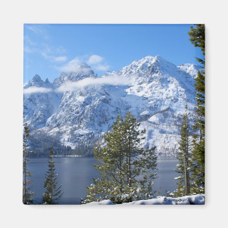 Tetons magnet