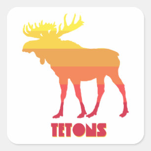 Tetons Moose Fyrkantigt Klistermärke