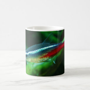 Tetra fiskParacheirodon Innesi för neon Kaffemugg