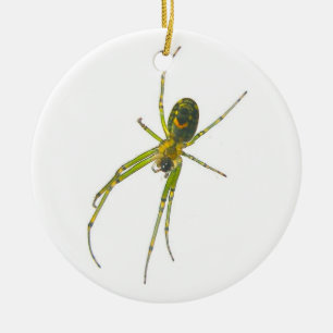 Tetragnathid Spider-julprydnad Julgransprydnad Keramik