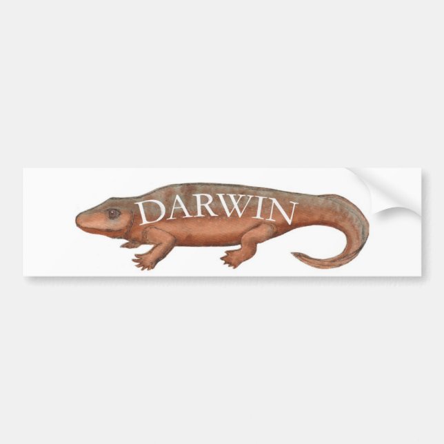 Tetrapod Darwin evolution Bildekal (Framsidan)