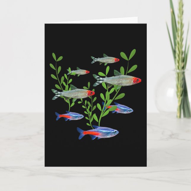 Tetras Aquarium Neon Tetras Rummy Nose Tetras Fish Kort (Framsida)