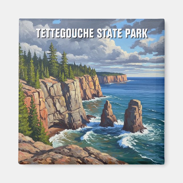 Tettegouche State Park Minnesota Travel Magnet (Framsidan)