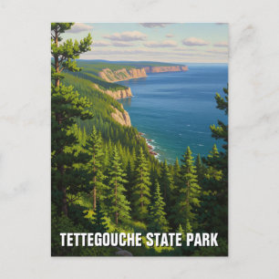 Tettegouche State Park Minnesota Travel Vykort