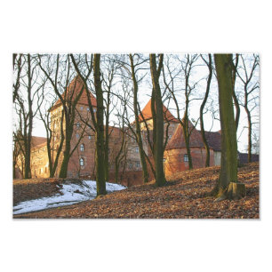Teutonic Order castle Neidenburg - Photo Fototryck