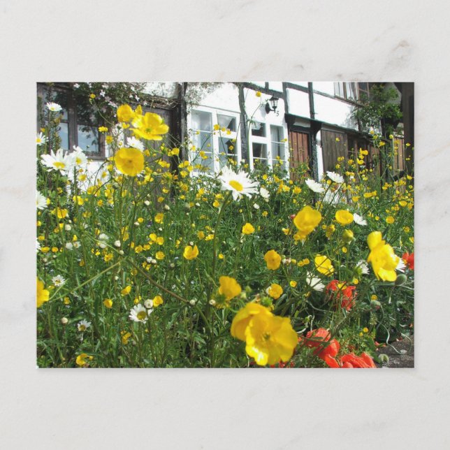 Tewkesbury cottages och Garden Vykort (Framsida)