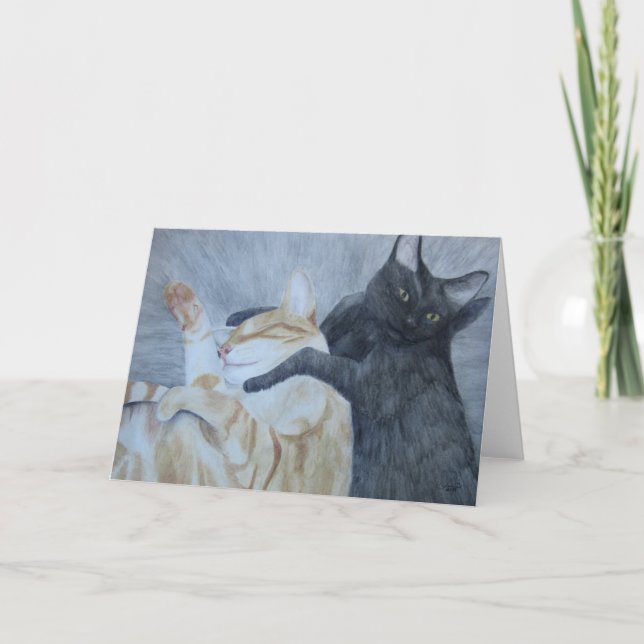 Tex Holding Griff Kort (Framsida)