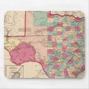 Texas 10 musmatta