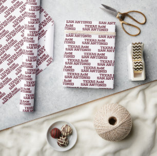 Texas A&M San Antonio Presentpapper