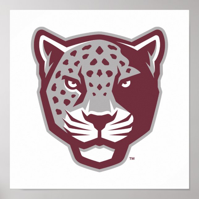 Texas A&M Universiteten-San Antonio | Jaguars Poster (Framsidan)