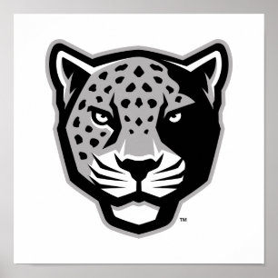 Texas A&M Universiteten-San Antonio Jaguars Poster