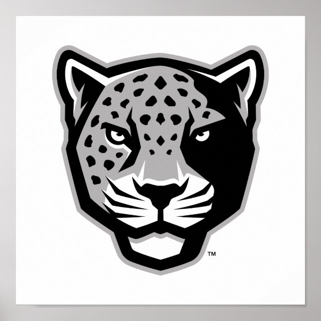 Texas A&M Universiteten-San Antonio | Jaguars Poster (Framsidan)