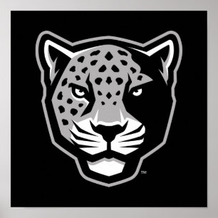 Texas A&M Universiteten-San Antonio Jaguars Poster