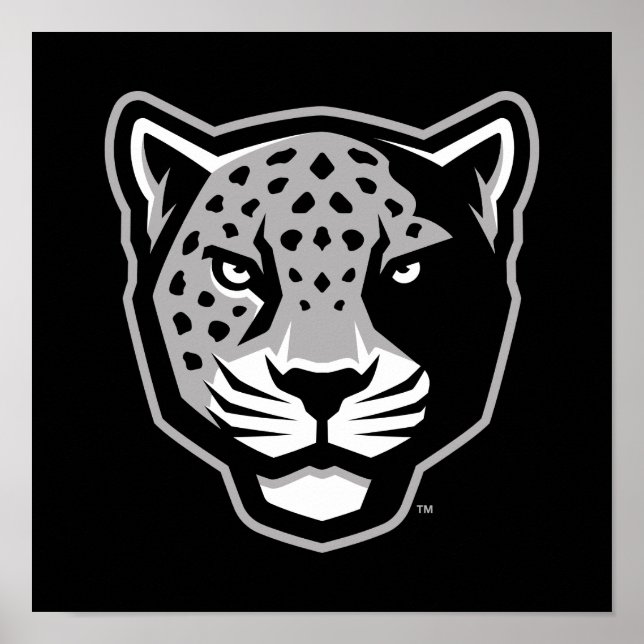 Texas A&M Universiteten-San Antonio | Jaguars Poster (Framsidan)