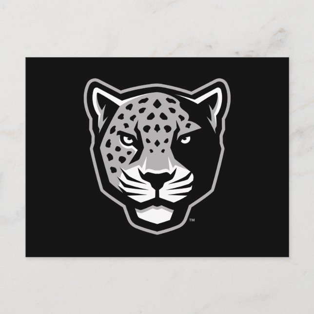 Texas A&M Universiteten-San Antonio | Jaguars Vykort (Framsida)