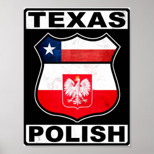 Texas American Poster
